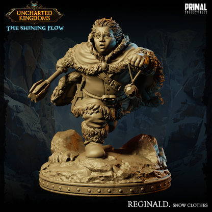 Reginald - Halfling Pícaro - Uncharted Kingdoms