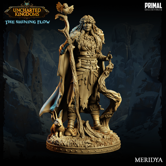 Meridya - Druida - Uncharted Kingdoms