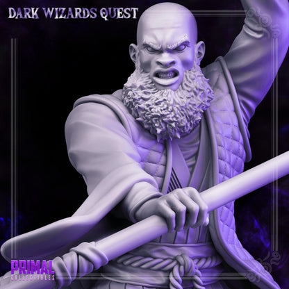 Raysen - Maestro de la tormenta - Dark Wizards