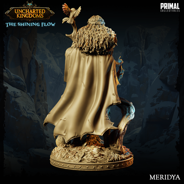 Meridya - Druida - Uncharted Kingdoms